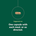 Standard Process Multizyme - Pancreatic Enzyme Supplement to Support the Breakdown of Proteins, Carbohydrates & Fats - Digestive Support - Gluten-Free, Non-Dairy & Non-Soy - 90 Capsules (90 Servings)