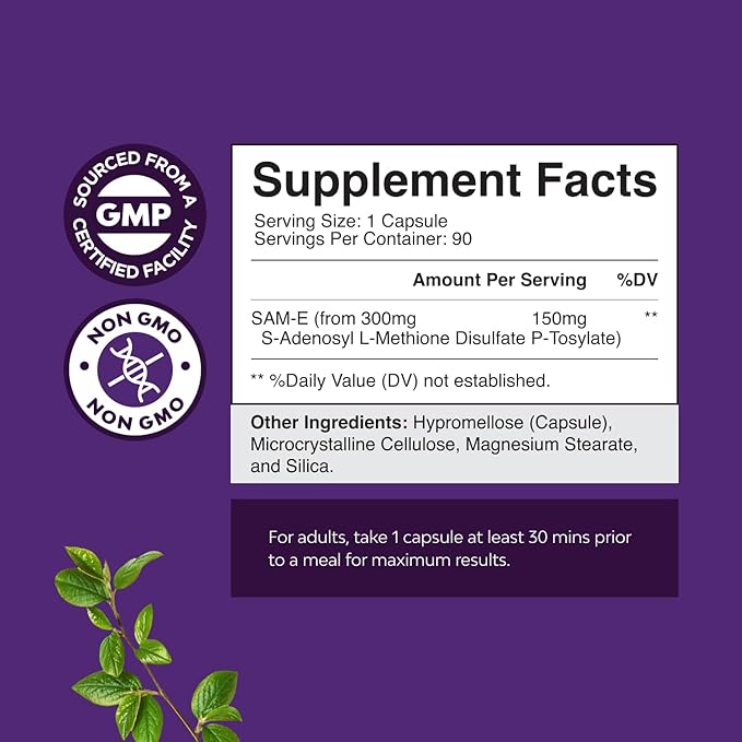 Bundle of Nootropic Brain Supplement - Mental Health & Clarity with VIT A B6 Riboflavin Niacin Thiamin Folate and Pure SAM E Supplement 150mg Per Serving Natural S-adenosylmethionine for Mood Balance