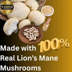Lion’s Mane Extract Capsules for Brain Health
