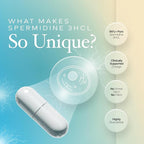 Spermidine Capsules Gluten Free 99% Concentration 100x More Potent Than Wheat Germ Extract for Anti-Aging DNA Telomere Support