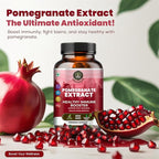 Pomegranate Extract Capsules – Antioxidant & Immune Booster for Men & Women – Heart, Skin & Joint Support – Polyphenol-Rich Supplement – 100 Vegan Capsules