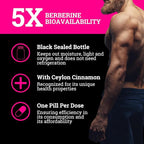 Black Forest NMN 1000mg Turkesterone 500mg and 5X Berberine Wellness Performance Bundle for Energy Strength Metabolic Support
