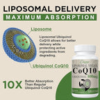 Liposomal CoQ10 800mg Ubiquinol Softgel, Max Absorption Ubiquinol Coenzyme Q10, Ubiquinol CoQ10 Supplement for Antioxidant, Heart Function & Energy Production, Pure CoQ10 800mg, 180 Vegan Softgels