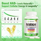 NMNH (Dihydronicotinamide Mononucleotide), NMN Alternative Supplement w/Niacinamide (Vitamin B3), Quercetin, Trans-Resveratrol, Support NAD+, Skin Cell Health*, Anti-Aging & Energy, 120 Caps