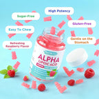 2 Pack Alpha Lipoic Acid Gummies 600mg - ALA Supplement for Antioxidant Support, Vegan, Sugar-Free, Raspberry Flavor, 120 Count