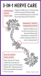 New Chapter Nerve Health Supplement for 3-in-1 Support from Head to Toe - Vitamin B1 Generates Energy for Nerves, Vitamin B6 Enhances Healthy Transmission, Vitamin B12 Builds Insulation, 30ct