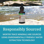 Morter Trace Minerals in Colloidal Suspension (12 Pack) Morter HealthSystem Best Process Alkaline — Nutrient Dense Trace Elements, Fulvic Minerals & Amino Acids