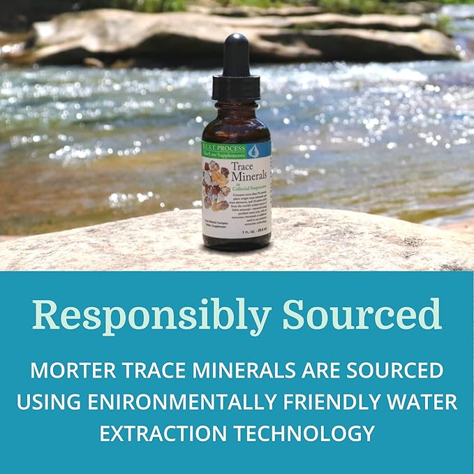 Morter Trace Minerals in Colloidal Suspension (12 Pack) Morter HealthSystem Best Process Alkaline — Nutrient Dense Trace Elements, Fulvic Minerals & Amino Acids