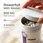 Neurogan Beta NMN (β-NMN) Supplement – 900 mg per Serving, 99.6% Purity – NAD+ Precursor for Cellular Energy & Vitality – 90 Capsules (3-Month Supply) – Made in USA