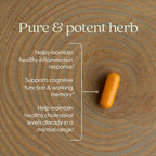 New Chapter Turmeric Supplement, One Daily, Heart, Brain & Healthy Inflammation Support, Supercritical Turmeric Curcumin Means No Black Pepper Needed, Non-GMO, Gluten Free – 120 Count (4 Month Supply)