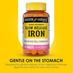 Mason Natural Slow,Release Iron (Ferrous Sulfate) 50 mg Tablets, 180 Day Supply, High Potency Supplement, Gentle on Stomach, 3 Pack