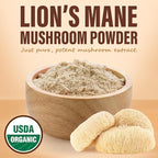 Lions Mane Mushroom Powder, 8oz Pack of Lion's Mane Powder, Organic Powder for Brain, Focus and Memory, High Potency Formula to Support Immunity, for Mental Clarity, Energy and Mood