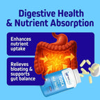 Herbtonics TUDCA 1000mg Liver Detox & Gallbladder Support – Milk Thistle & Pterostilbene Enhanced Bile Salt for Liver Cleanse, Healthy Bile Flow, and Digestive Health (60 Vegan Capsules)