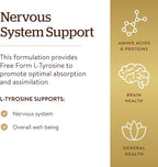Solgar L-Tyrosine 500 mg, 100 Vegetable Capsules - Brain & Nervous System Support - Vegan, Gluten Free, Dairy Free, Kosher - 100 Servings,Standard Packaging