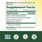 MegaFood Superfood Mushroom Focus Support - Lions Mane Supplement Capsules - Doctor Formulated – Lion’s Mane Mushroom Supplement with Clinically Studied Bacopa - Vegan - 60 Capsules, 30 Servings