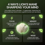 Lion’s Mane Mushroom Supplement 1000mg - Dual Extract for Focus Memory & Mental Clarity - High Potency Nootropic Brain Supplement with 20% Beta-Glucans - Fruiting Body & Mycelium - 60 Caps