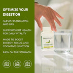 BiOptimizers MassZymes - Complete Digestive Enzymes Supplement for Gut Health - Bloating Relief for Men and Women - Lipase Amylase Bromelain Digestive Enzymes (250 Capsules)