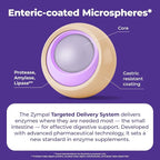 Pancreatic Digestive Enzymes 20,000 Lipase USP Units – High-Potency Pancreatic Digestive Enzyme Supplement for Gas, Bloating & Indigestion Relief–Gut Health & Nutrient Absorption – 50 Capsules