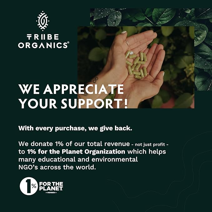 TRIBE ORGANICS Balance Duo - KSM-66 Ashwagandha 120ct + Turmeric Curcumin C3 Complex 120ct