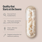 Tremella Mushroom Capsules 12,000 mg – Organic Snow Mushroom for Hair, Skin, and Nails Hydration, Radiance, & Elasticity – Functional Mushroom Supplement, Extract 12:1, 40% Beta Glucans (60 Capsules)