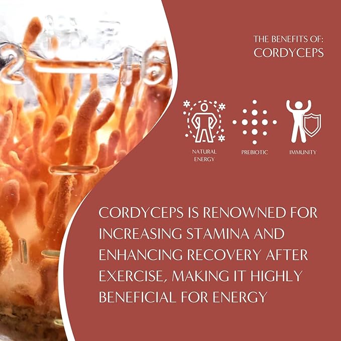 Teeccino Cordyceps Schisandra Tea - Cinnamon Berry - 25 TeaBags - Caffeine Free Mushroom Adaptogenic Herbal Tea, 3x More Herbs Than Regular Tea Bags, Naturally Sweet, Gluten Free, Prebiotic