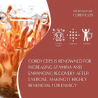Teeccino Cordyceps Schisandra Tea - Cinnamon Berry - 25 TeaBags - Caffeine Free Mushroom Adaptogenic Herbal Tea, 3x More Herbs Than Regular Tea Bags, Naturally Sweet, Gluten Free, Prebiotic