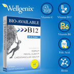 Wellgenix Bio Available Daily Multivitamins (60 ct) - Focus Support Formula with Vitamins Methyl B12, B6, Folate & Biotin - Sublingual Energy & Diet Supplement for Immune & Overall Health