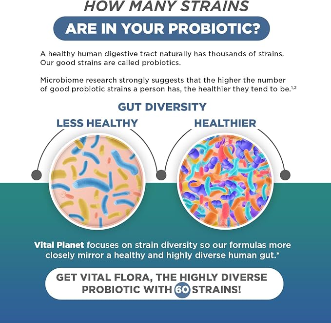 Vital Planet - Vital Flora Men Over 55 Daily Probiotic, 60 Billion CFU, Diverse Strains, Organic Prebiotics, Immune Support, Digestive Health Shelf Stable Probiotics for Men, 30 Capsules