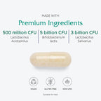 Vitanica Flora Symmetry, Shelf Stable Probiotic Supplement, Dr Formulated Probiotics for Women, Probiotics for Men and Adults, Acidophilus Probiotic, Non-GMO, Vegan, 60 Capsules