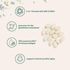 Micro Ingredients NAC Supplement 600mg with NAD+ & Coconut Oil, 300 Softgels | 2-in-1 N Acetyl L Cysteine Plus Nicotinamide Forms | NAD Supplements for Women & Men | Non-GMO, Gluten Free