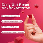 GG360 - Gut Health for Women & Men, Pre Post Probiotics Gummies for Digestive Health, Constipation, Tribiotics for Bloating, Immune Support, Skin & Belly Fat, Tart Cherry – 60 Count