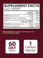 Iron Supplement for Women & Men, Iron Bisglycinate with Vitamin C, B6, B12, Folate, Stomach Friendly, Non-Constipating, Blood Health & Energy Boost, 60 Vegan Caps