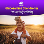 Glucosamine Chondroitin Gummies, Sugar Free Glucosamine Chondroitin MSM Supplement, Extra Strength with Boswellia Turmeric, Hydrolyzed Collagen & Hyaluronic Acid, Bone Health for Men & Women, 60 Cts