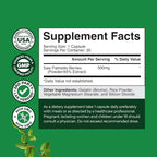 Extra Strength Saw Palmetto Extract - Advanced Herbal Complex for Hair Health and Urinary Support with Plant Sterols & Flavonoids - Potent Herbal Supplement with 500mg per Serving - 30 Count