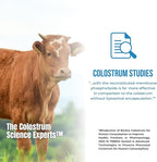 Colostrum-LD Liposomal Delivery - Colostrum Powder - Gluten-Free, Lactose-Reduced - 68 Servings - Sovereign Laboratories - 12oz Vanilla