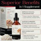 Auri Nutrition Lion’s Mane Liquid Elixir - Brain Supplements for Memory and Focus with Functional Mushrooms - Lions Mane Supplement, Full Spectrum Lion's Mane Extract - No GMO, Vegan Mushroom Tincture