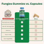Fungies Lion's Mane KSM-66 Ashwagandha Gummies, Berry Flavor - Mushroom Supplement Adaptogen Gummy Supports Brain Health, Cognitive Function, Focus, Memory & Mood - Mind-Body Wellness, 45 Servings