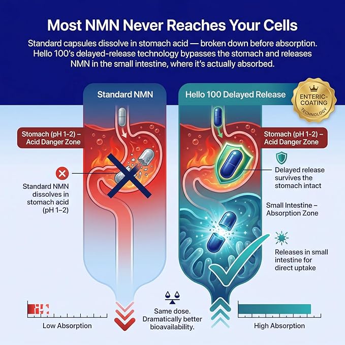 NMN Supplement 500mg - Delayed Release NAD+ for Longevity & Energy - Pure Nicotinamide Mononucleotide for Cellular Repair - High Absorption NMNH Alternative - 60 Day Supply