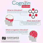 Nootropics Depot Cognizin Citicoline Capsules | 60 Count | Choline Supplement | Brain Health Supplement | Regulates Memory and Cognitive Function | Supports Attention, Focus and Recall