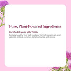 PURE SYNERGY SuperPure Milk Thistle Extract | Liver Detox and Cleanse Supplement | Organic Milk Thistle Extract with Silymarin | for Healthy Liver Support (60 Capsules)