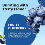 Iron Gummies with Multivitamin, Iron Supplement for Women & Men with Zinc, Vitamin B Complex & C, B12, Folate - Blood Builder & Energy Support for Adults & Kids - Blueberry Flavor, Vegan 60 Gummies