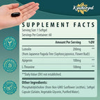 Liposomal Luteolin 200mg – Luteolin Supplement & Brain Supplement for Memory and Focus with Apigenin & L-Theanine – Non-GMO, Gluten-Free, 120 Softgels