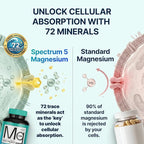 Spectrum 5 Magnesium | 5-in-1 Complex + 72 Trace Minerals for Enhanced Absorption | Irish Sea Sourced | 500mg per Serving | Made in USA, Third Party Tested, GMP Certified