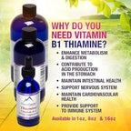 HoneyCombs Vitamin B1 Supplement (Thiamine) Liquid Drops - High Potency Thiamine B1 Supplement for Men & Women - Maintain Nervous System, Energy & Overall Health - Vegan Liquid B Vitamins (8 Fl oz)
