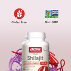 Jarrow Formulas Shilajit 250 mg, Dietary Supplement, Shilajit Acid Complex for Cellular Energy Production, 60 Veggie Capsules, 60 Day Supply (Pack of 12)