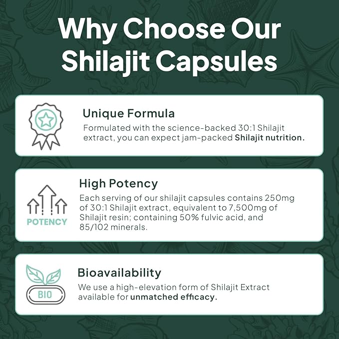 Organics Ocean One-Per-Day Shilajit for Men and Women - Natural and Potent Shilajit Supplement for Age-Defying, Bone Strength, Hormone Support and More - 6 Bottles Capsules