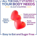 Vitamin C Gummies - 100% of Daily Vitamin C & Sugar Free - Immune Support with Powerful Antioxidants - Nature's Vegan VitaminC Dietary Supplement - Raspberry Flavor for Kids & Adults - 60 Gummies