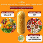 Immune Support Vitamin C – with Iron, Non-GMO, Vegan, Gluten-Free, Slow Release Beadlet Capsules, 90 Count