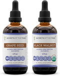 Secrets of the Tribe Grape Seed and Black Walnut Liquid Extract (2 pcs.) | Alcohol-Free Tinctures | Grape (Vitis vinifera) Dried Seed and Black Walnut (Juglans nigra) Dried Hull (2x4 fl oz)
