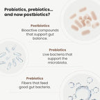VITASEI Happy Flora - BPL1 Postbiotics - Gut and Metabolic Balance Support
